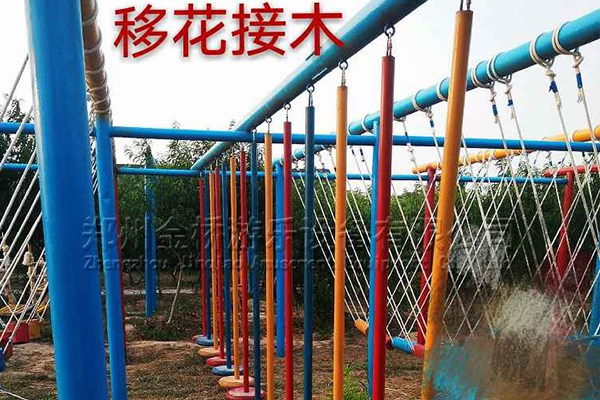 移花接木_體能樂園